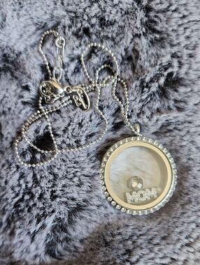 Origami Owl Silver Living Locket Necklace